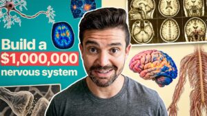 Your clients aren't buying your offer, they're buying your nervous system
