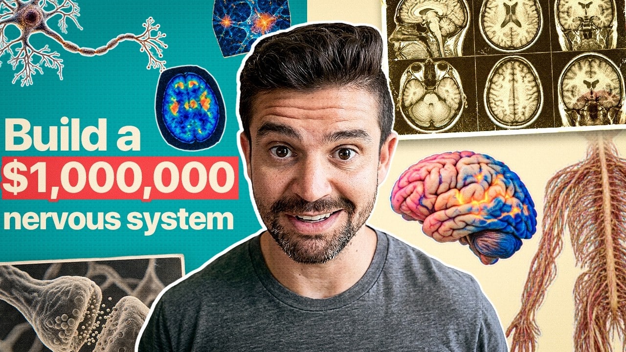 Your clients aren’t buying your offer, they’re buying your nervous system